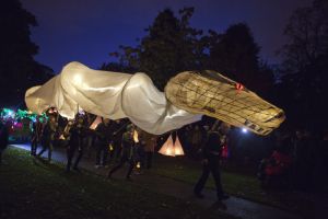 bradford lantern parade 2015 16 sm.jpg